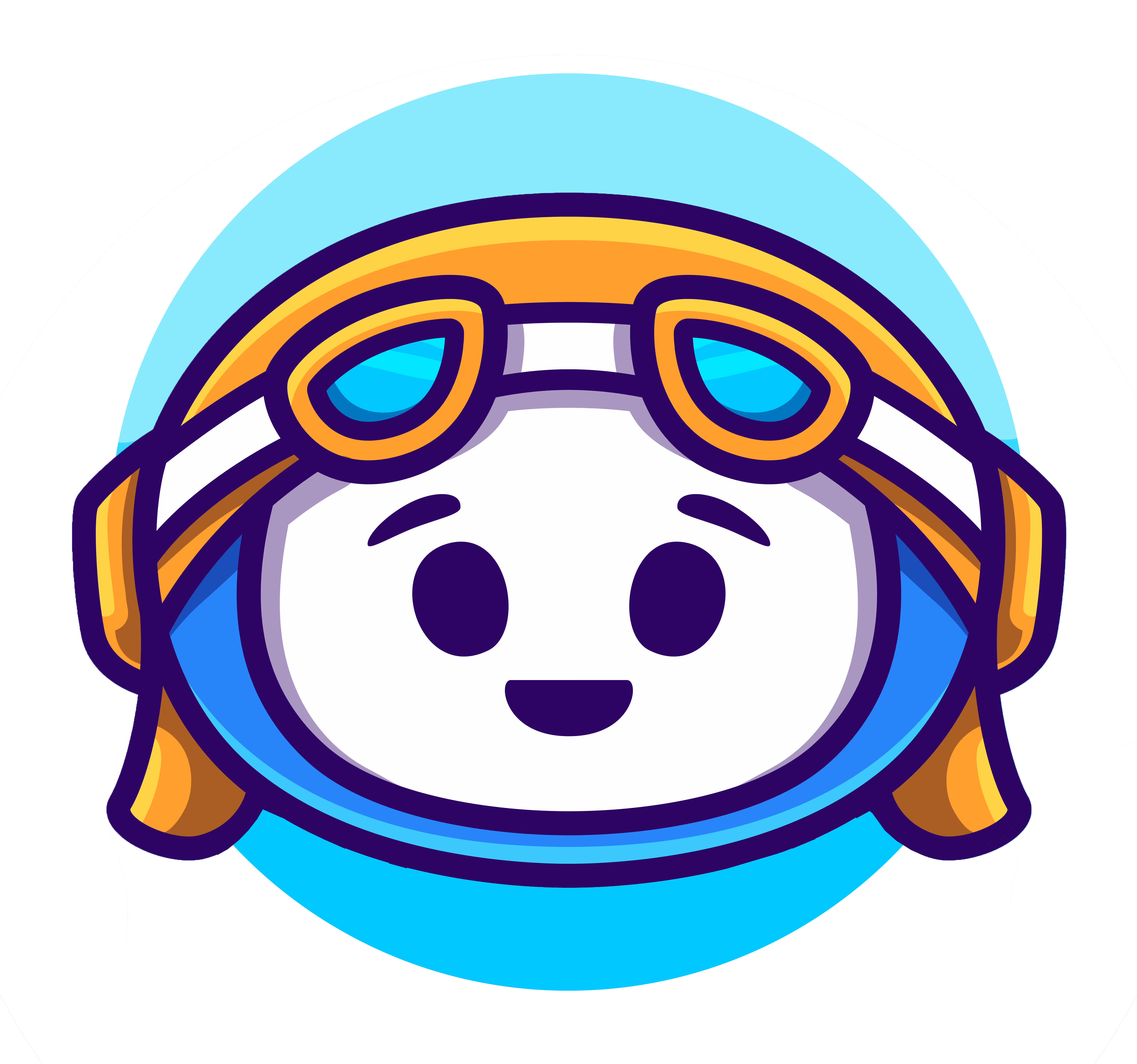 Shipping Pilot