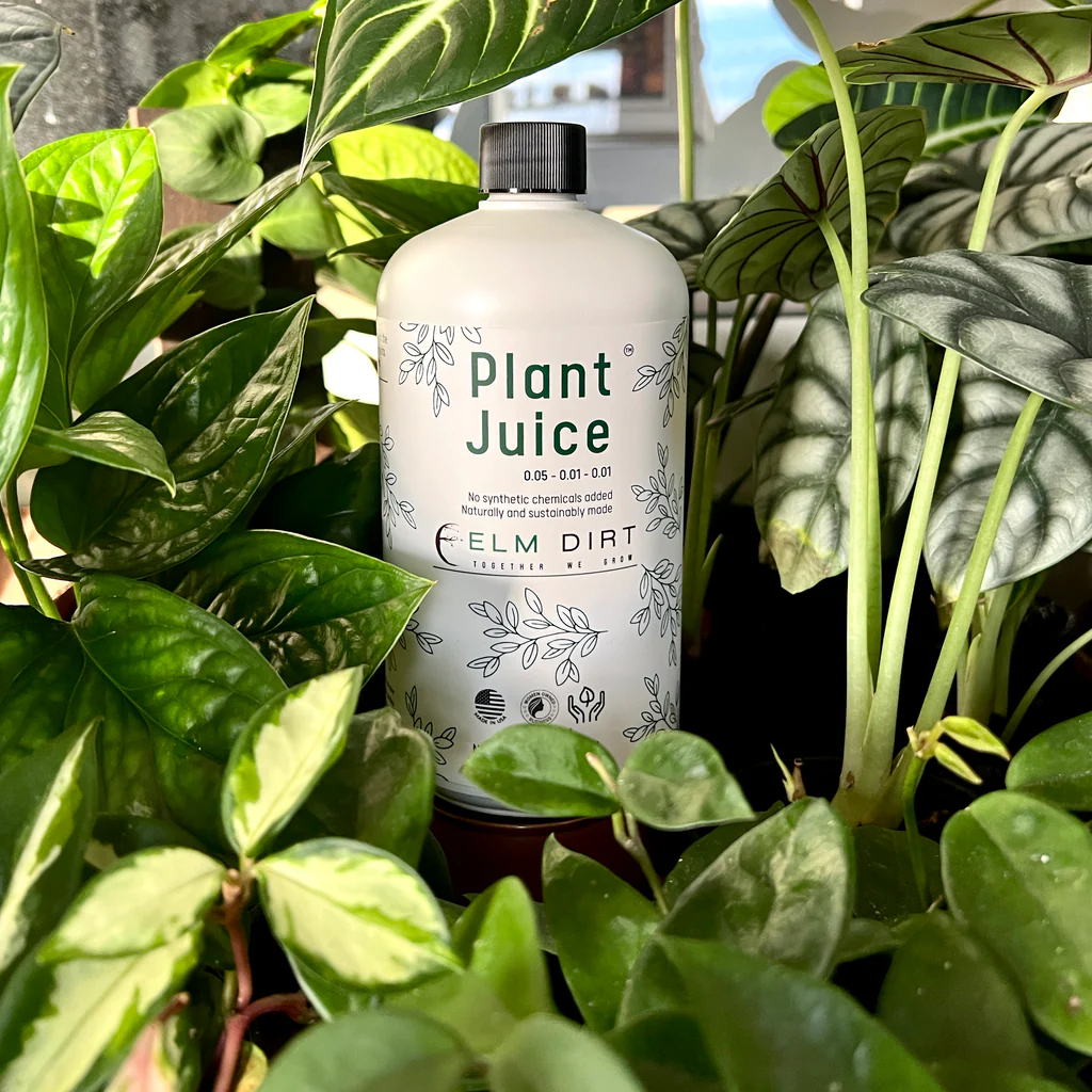 Elm Dirt case study