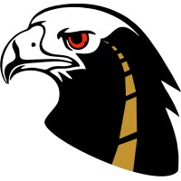 Black Eagle Transportation