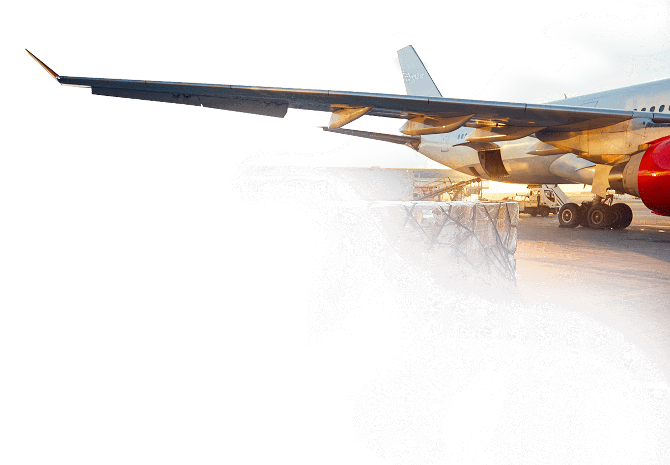 Novis Logistics