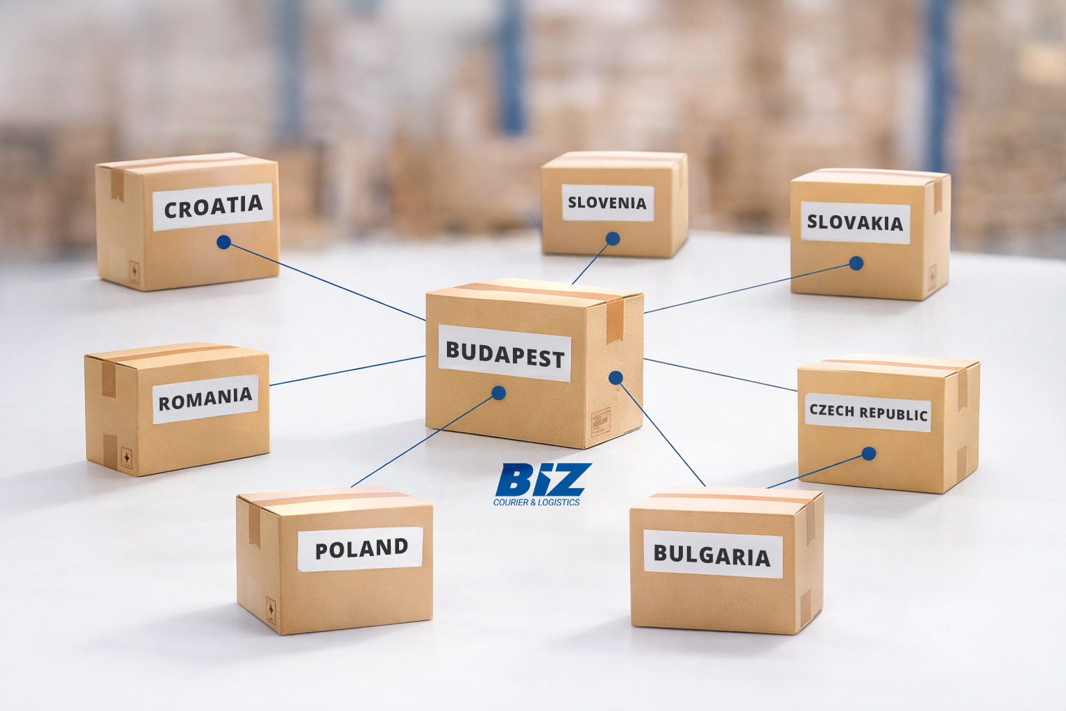 Fulfillment by BIZ