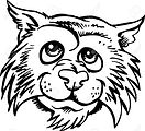 Wildcat Prep and Ship